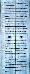 BarbwireA.jpg (42303 bytes)