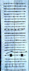 BarbwireC.jpg (42645 bytes)