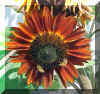 Sunflower R Lucky Star Ranch | Antique Farm Tools Museum - Antique Wrench Book - Marsing Idaho